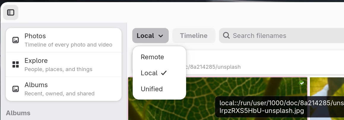 View Options (Remote / Local / Unified)